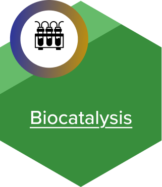 Biocatalysis