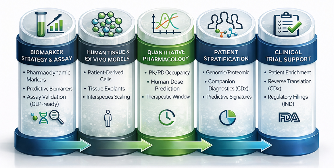 Translational Biology