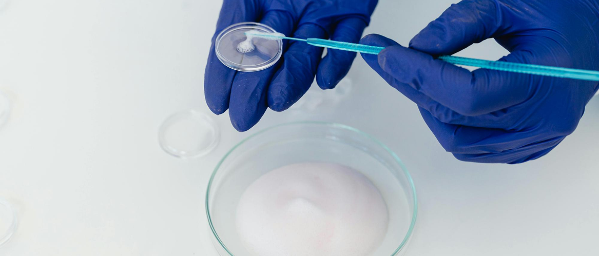 Preclinical Studies